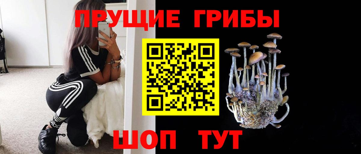 Псилоцибиновые грибы GOLDEN TEACHER Усть-Джегута